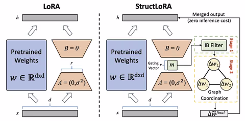 Not All Directions Matter overview